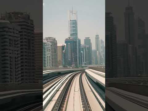 محمد شاهين خاف من اليى منك