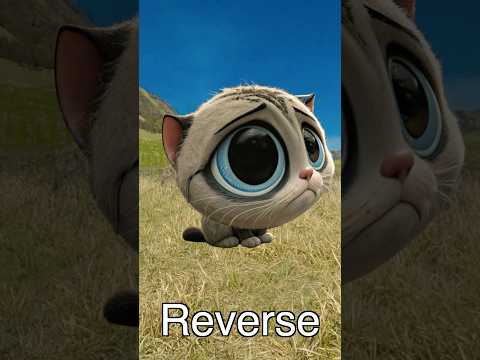 12 Miaw Miaw Miaw Song Sad Sound Variations In 34 Seconds Soundvariations Miawmiaw Cat