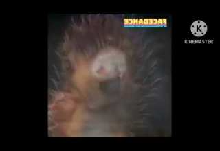 All Preview 2 Booba Deepfake