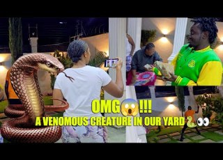 DRAMA CONFUSION AT 2AM A SNAKE IN OUR COMPOUND DIANABAHATI