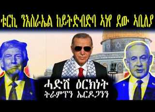 ቱርኪ ንእስራኤል ከይትድብድባ ኣነየ ደው ኣቢለያ