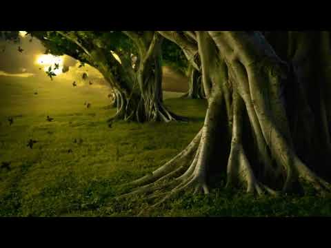 يا اخوتي ماذا نقول ام حزننا جلب البكاء نشيد