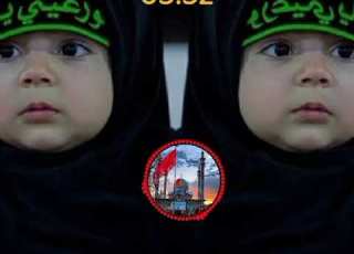  نوحه بسیار زیبا نیا کوفه گل زهرا حسین جانم حسین من