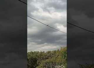  الكوكب المراكشي تعود رسميا الى القسم الاول