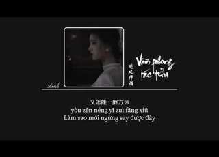 Vietsub Vãn Phong Tác Tửu L Đào Tử 晚风作酒 L 桃籽