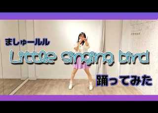 Ruruto Lily Little Singing Bird Dance Cover