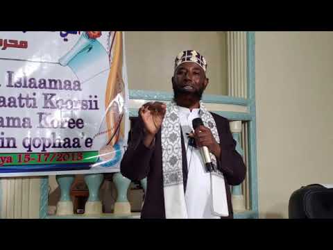 Dhaamsa Sh Amiin Ibroo Sheekkanii Fi Du Aata Jimmaatiif Dhaaman Dhaamsa Sh Amiin Ibroo Sheekkanii Fi Du Aata Jimmaatiif Dhaaman