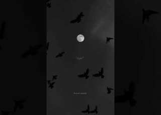 اعشقك جنون