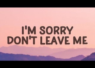 1 HOUR SLANDER I M Sorry Don T Leave Me Love Is Gone Lyrics Ft Dylan Matthew Acoustic