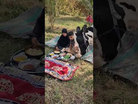 ريوك امي الريف الطبيعة بستان الابقار