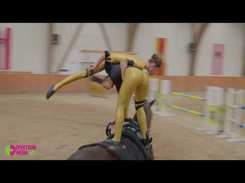 Voltigierturnier WBO 2025