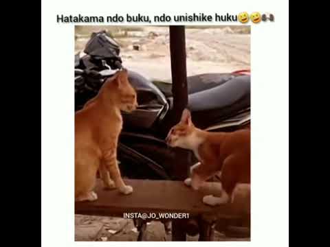 Mapenzi Ya Watoto Wake Kipemba