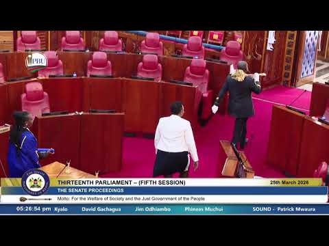 The Senate Plenary Wednesday 25th March 2026 Afternoon Session
