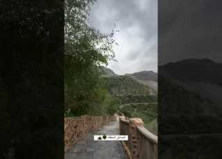  حدائق المعلقة في كلباء Uae