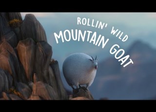 Rollin Mountain Goat