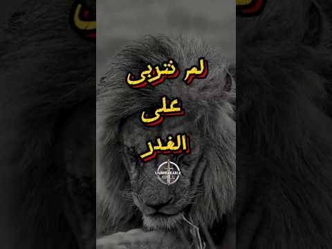 نحن لا نغدر نحن نرتقي رسالة الى الذين باعوا القيم كلام من ذهب اقتباسات وفاء تحفيز اكسبلور