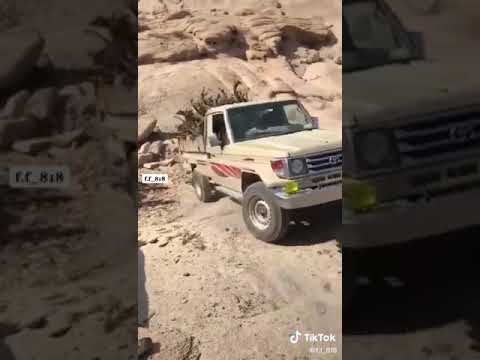 الذيب يبكي لافقد خوت الذيب ويضيق في عينه وسيع ومكاني يجر صوته فوق روس المراقيب ويشيل همه بين حد المح