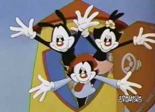 Animaniacs Intro In Freakazoid But It S From A Cartoon Network Airing