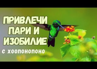 ПРИВЛЕЧИ ПАРИ Хоопонопоно Медитация и Утвърждения за Освобождение от програми за Бедност