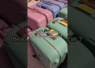 Valises Rigides Delsey Elite Bagage Bagages Voyage Valise Delsey Bagagerie