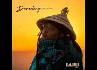 Malome Vector Dumelang Ft Blaq Diamond