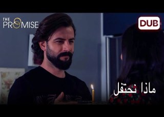  مبروك علينا شجارنا الثاني اليمين الحلقة 276