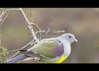  صوت الرهطي