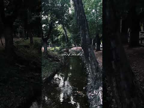 هلى اهتمامي فكر بايامي ناصيف زيتون حلوة هلى اهتمامي فكر بايامي ناصيف زيتون حلوة