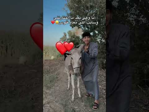 نور بعد ما اختارتنى السعودية الكويت الامارات الاردن قطر نور بعد ما اختارتنى السعودية الكويت الامارات الاردن قطر