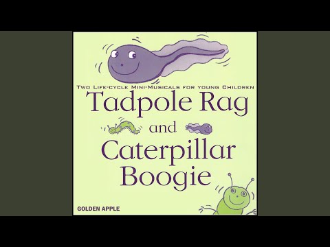 Catterpillar Boogie Song 1 Butterfly Sparkle Performance Version