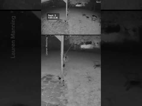 Loud Boom Heard In Hopatcong