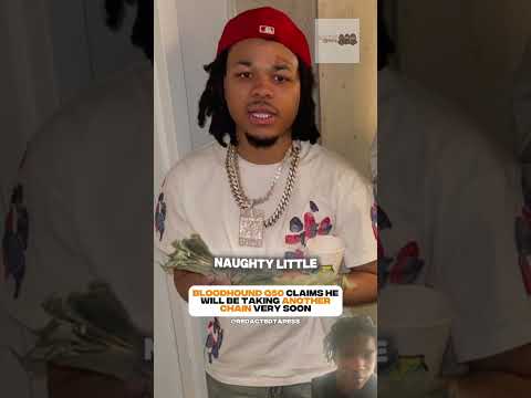 Bloodhound Q50 Says He S Going To Take Someone S Chain Very Soon Bloodhoundq50 Vonoff1700