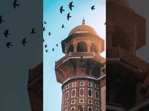 يارب كرمك علينا النقشبندي تواشيح Shorts