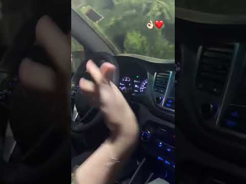 ربيت الكبدة عليه Story