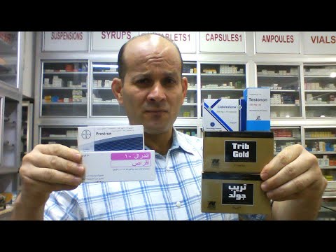 عود البطل تريب جولد