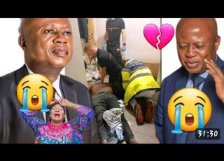  BAD NEWS A GREAT BAOBA TREE HAS JUST FALLEN OH MY GOD FR PATRICE NGOIE MUSOKO AMEMI