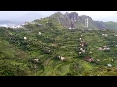 طاب اللقى كلا لقى حبيبه ايوب طارش