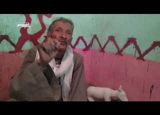  باب مصر محمود عرفة من البناء إلى النحت