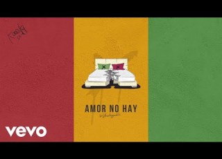  Karol G Amor No Hay Official Audio