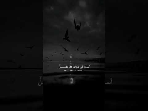 أراكي في منامي حين اغفو ناصر السعيد أراكي في منامي حين اغفو ناصر السعيد