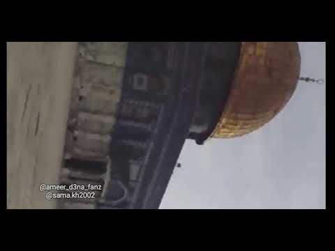 أنشودة شيعيني للخلود مجموعة من إبداعات المقدسي أمير دعنا