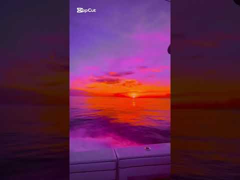 Tout Gâcher Timal Timal