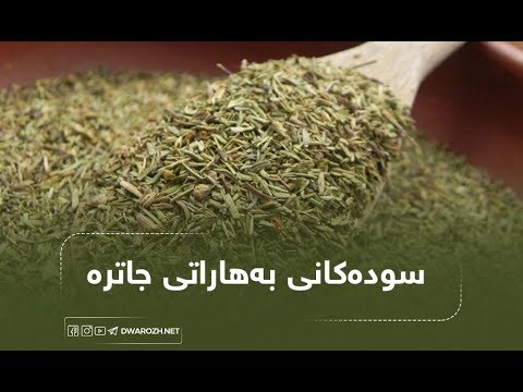 سودەکانی بەهاراتی جاترە