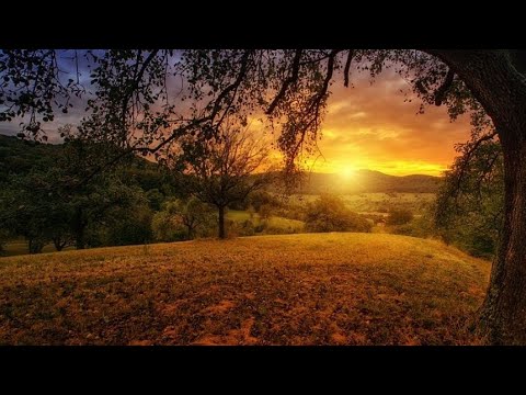 አውታሩ ከበደ ኑሮዬን የታምራት አድርጎታል የአማርኛ መዝሙር Awtaru Kebede Nuroyen Yetamrat Adrgotal Amharic Song Lyrics