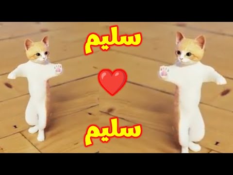 سليم سولي ابو دم خفيف اسم سليم اغنية سليم اغنيه باسم سليم السعودية فلسطين المغرب الجزائر قطر
