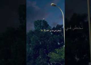  تخطر في ضي القمر