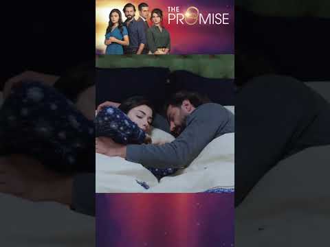 أبدا بدون قبلة Shorts Promise Reymir