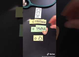 Do Women Pee And Give Birth From The Same Place Shorts MedicineExplained Shelf