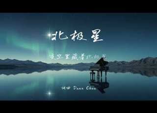 Dann MUSIC 北极星 电吉他