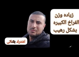 فوائد الخميره وكربونات الصوديوم للفراخ البيضه مفاجاه ساره